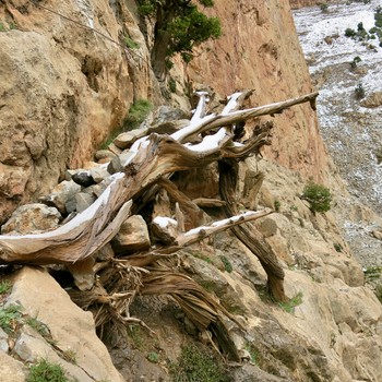 berber-bruecke-taghia