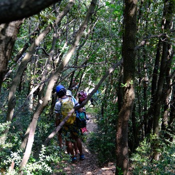 klettern-limski-kanal-zustieg-waldweg