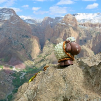 klettern-schaf-taghia