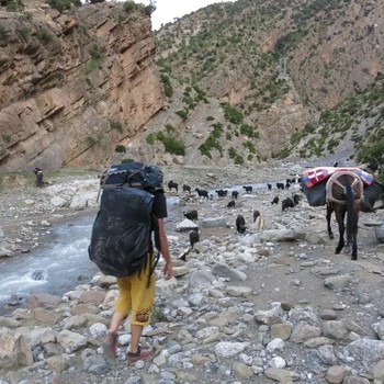 taghia-esel-transport-klettertrip