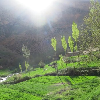 taghia-garten-wiesen-feld