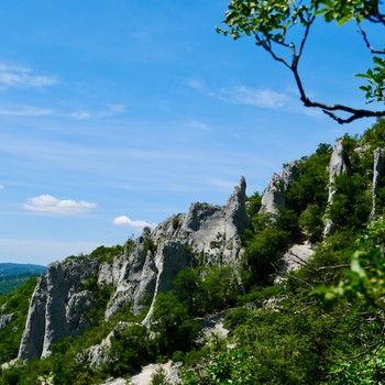 vela-draga-kalk-tuerme